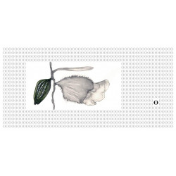 Kunstkarten von Marie Drea - Sesam