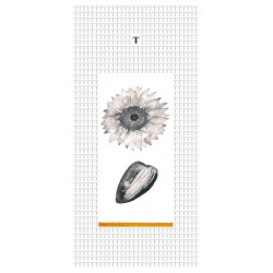 Kunstkarte von Marie Drea - Sonnenblume