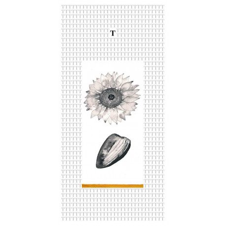 Kunstkarte von Marie Drea - Sonnenblume