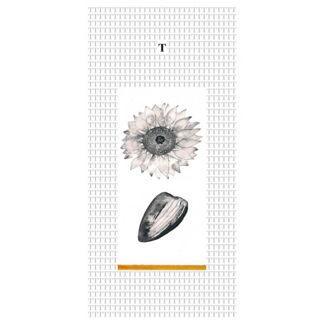 Kunstkarte von Marie Drea - Sonnenblume